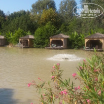 фото из отзыва ID 1478389