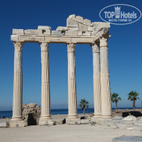 фото из отзыва ID 1478452