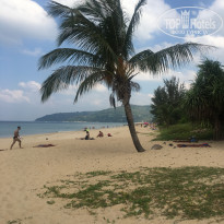 фото из отзыва ID 1478479