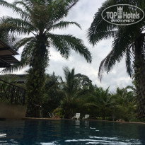 фото из отзыва ID 1478479