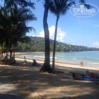 фото из отзыва ID 1478504