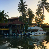 фото из отзыва ID 1478510