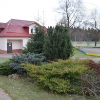 фото из отзыва ID 1478683