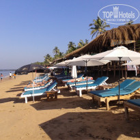 фото из отзыва ID 1478716