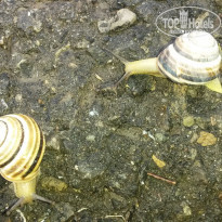 фото из отзыва ID 1478789