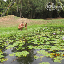 фото из отзыва ID 1478998