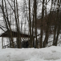 фото из отзыва ID 1479039