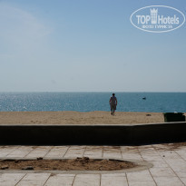 фото из отзыва ID 1479050