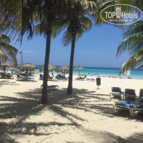 фото из отзыва ID 1479067