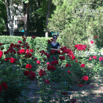 фото из отзыва ID 1479342