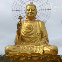 фото из отзыва ID 1479393