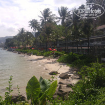 фото из отзыва ID 1479436