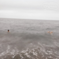 фото из отзыва ID 1479438