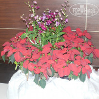 фото из отзыва ID 1479150