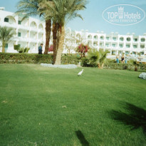 фото из отзыва ID 1479451