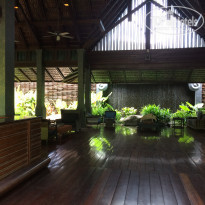 фото из отзыва ID 1479539