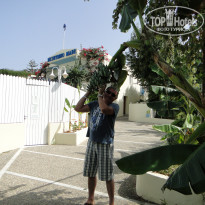 фото из отзыва ID 1479615