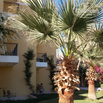 фото из отзыва ID 1479671