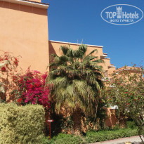 фото из отзыва ID 1479671