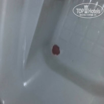 фото из отзыва ID 1479698