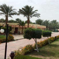 фото из отзыва ID 1479698