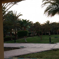 фото из отзыва ID 1479698