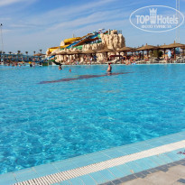 фото из отзыва ID 1479698