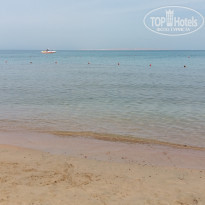 фото из отзыва ID 1479698