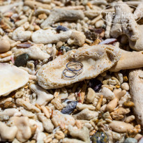 фото из отзыва ID 1479874