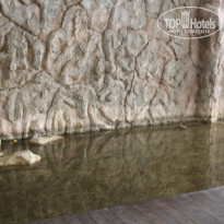 фото из отзыва ID 1479917