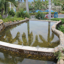 фото из отзыва ID 1479917