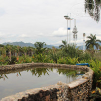 фото из отзыва ID 1479917