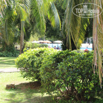 фото из отзыва ID 1479918