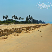 фото из отзыва ID 1479990