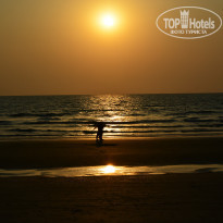 фото из отзыва ID 1479990