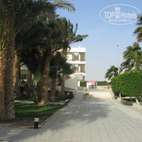 фото из отзыва ID 1478056