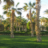 фото из отзыва ID 1478056