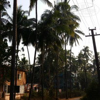 фото из отзыва ID 1476524