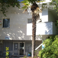 фото из отзыва ID 1476859