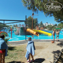 фото из отзыва ID 1478017