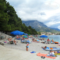 фото из отзыва ID 1472528