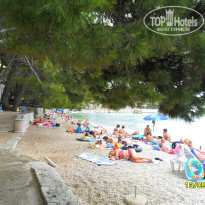 фото из отзыва ID 1472528