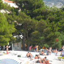 фото из отзыва ID 1472528