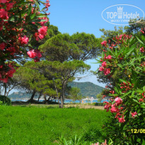 фото из отзыва ID 1472463