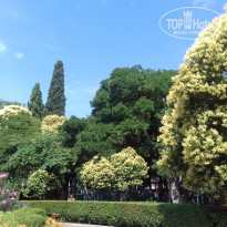 фото из отзыва ID 1470379