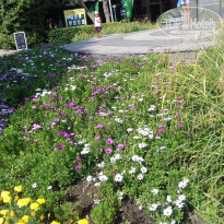 фото из отзыва ID 1470379