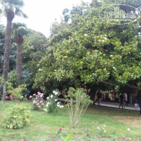 фото из отзыва ID 1470379