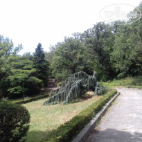 фото из отзыва ID 1470379