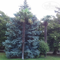 фото из отзыва ID 1470379