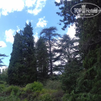 фото из отзыва ID 1470379